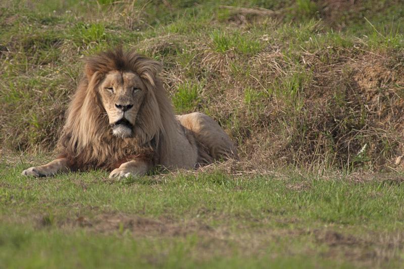 Cjp_2011_08_02_170009 (1).jpg